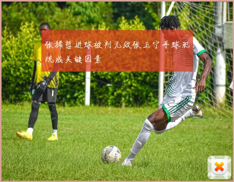张稀哲进球被判无效张玉宁手球犯规成关键因素