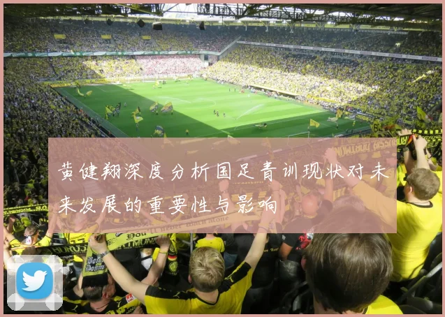 黄健翔深度分析国足青训现状对未来发展的重要性与影响